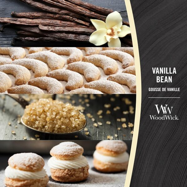 WoodWick Ellipse Bougie parfumée | Gousse de vanille | avec mèche crépitante | Durée de combustion : jusqu'à 50 heures