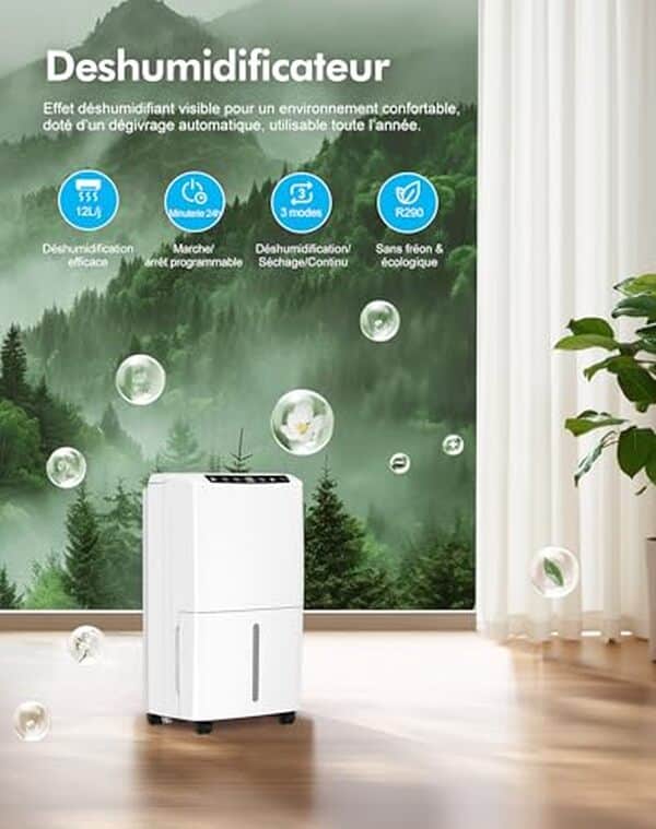 Découvrez l'efficacité du déshumidificateur 12 L/jour : solution idéale pour sécher le linge avec un affichage numérique performant.