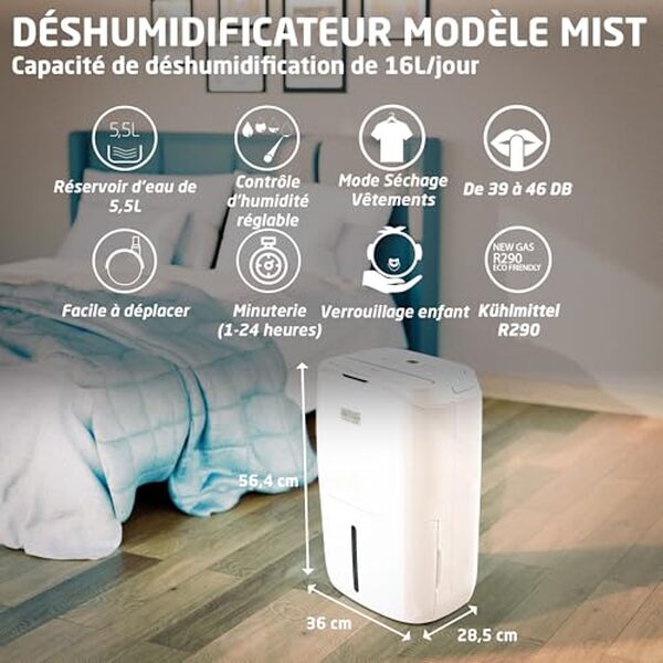 Découvrez l'efficacité du déshumidificateur très performant amig Mist 20L/jour. Idéal pour une maison saine, il lutte contre l'humidité avec une grande efficacité.