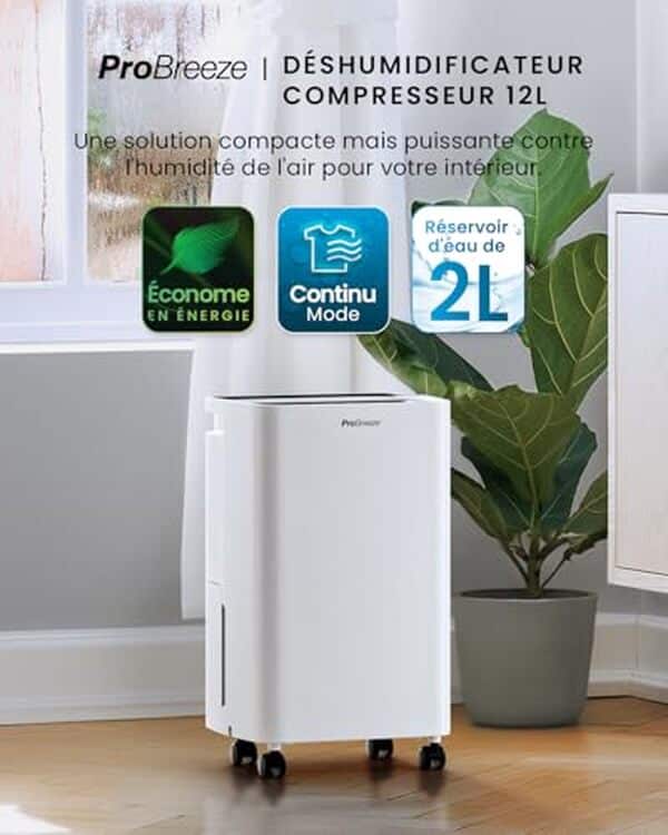 Découvrez notre test détaillé du déshumidificateur Pro Breeze 12L/jour : puissance, efficacité et silence pour assainir votre intérieur. 