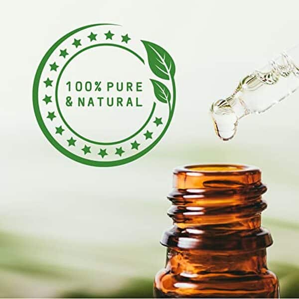Découvrez notre test complet de l'huile essentielle sauge claire Mystic Moments 100% pure : composition, utilisation et efficacité pour votre bien-être naturel. 